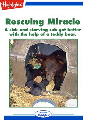 cover image of Rescuing Miracle